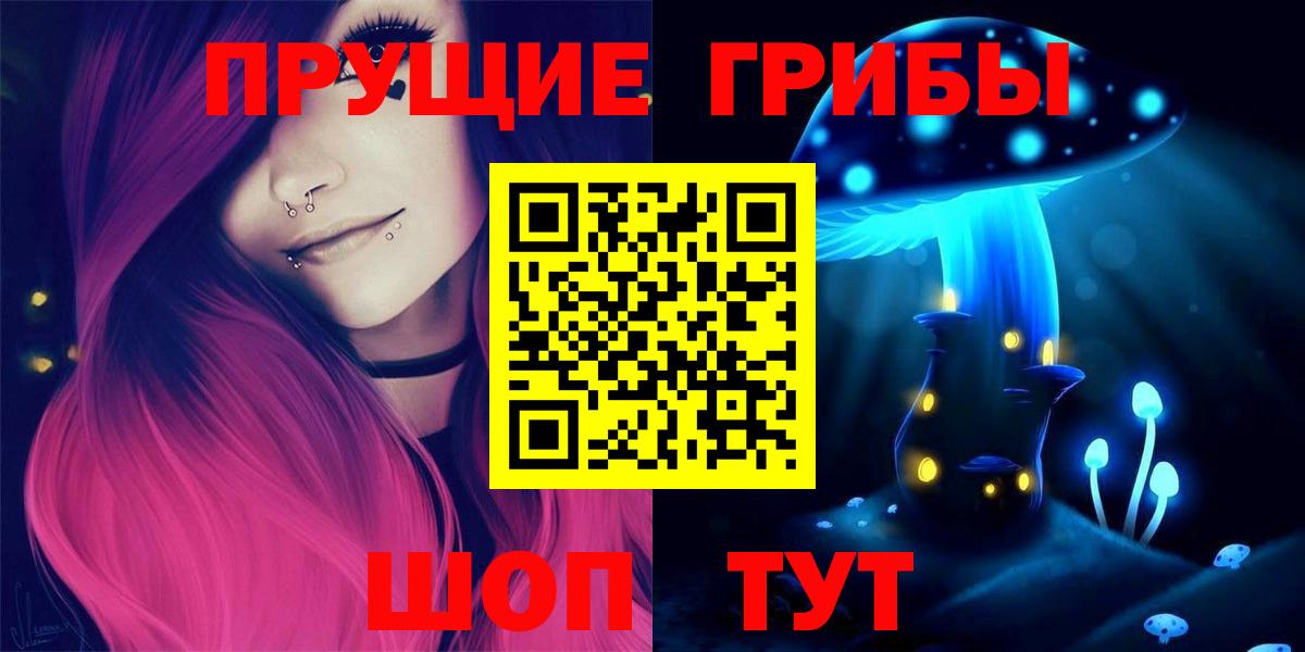 Галлюциногенные грибы Psilocybe Гай