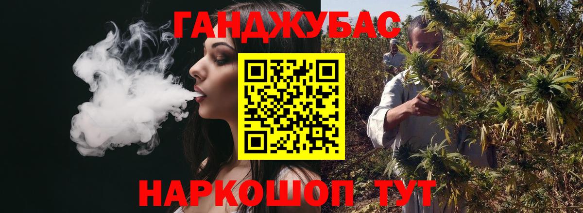 Марихуана сатива Гай